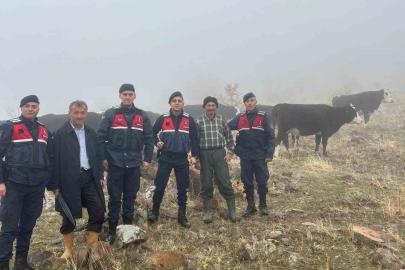 Hayvanları kaybolan kişinin imdadına jandarma yetişti