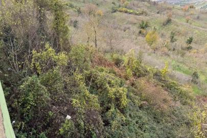 Heyelan sonrası Büyük Tekke Köyü’nde imam sorunu yaşanıyor