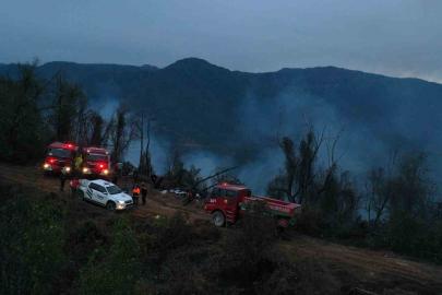 Hopa’daki orman yangını söndürüldü, soğutma çalışmaları sürüyor