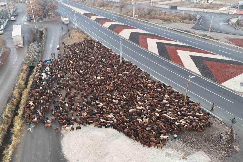 Iğdırlı göçerler, zorlu yolculuğun ardından Iğdır’a ulaştı