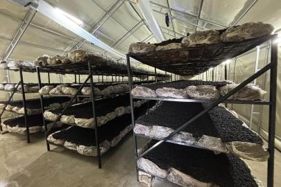 İlçenin ekonomisine yeni soluk