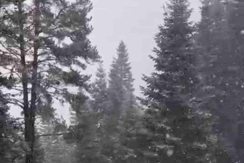 Ilgaz Dağı’nda kar yağışı etkili olmaya başladı