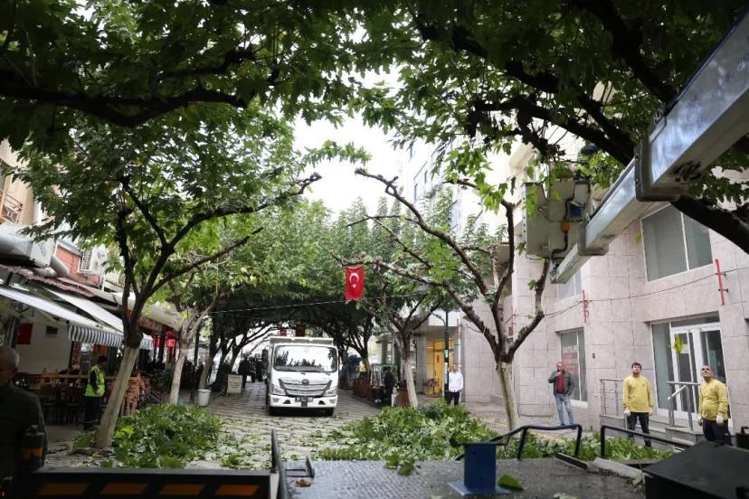 İncirliova Sevgi Yolu’ndaki ağaçlara bakım