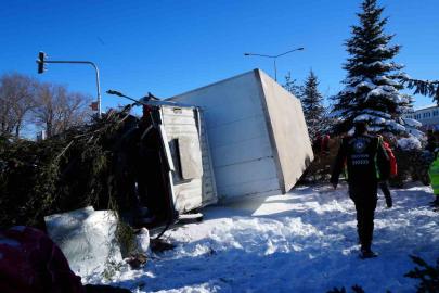 Işıklarda duramayan kamyon devrildi, çarptığı ağacı kökünden söktü
