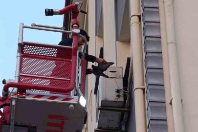 İskenderun’da klima motoruna dolaşan kuş kurtarıldı