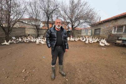 İstanbul’dan memleketi Yozgat’a döndü, binlerce hayvan üreterek geçimini sağlıyor
