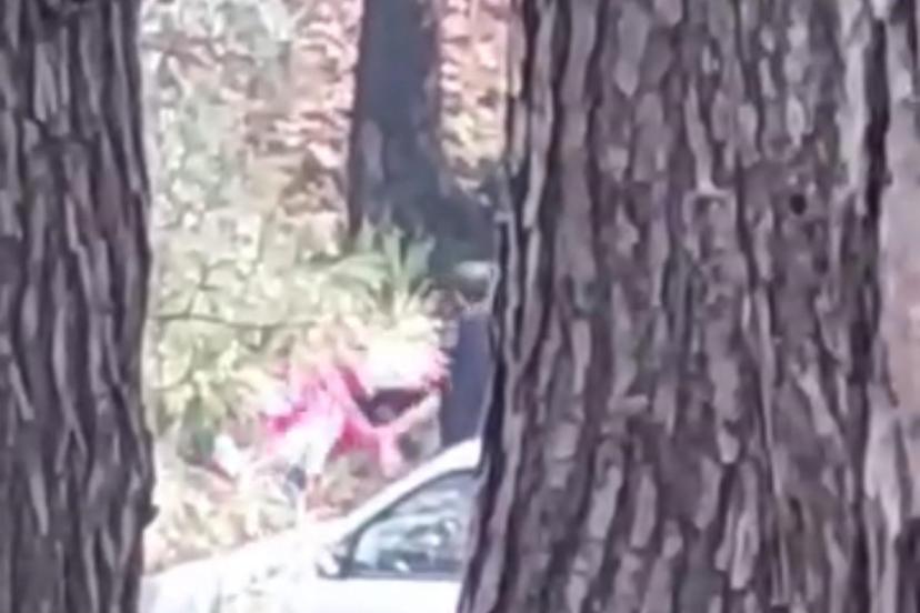 İzmir’de bir kadın ormanlık alanda darbedildi