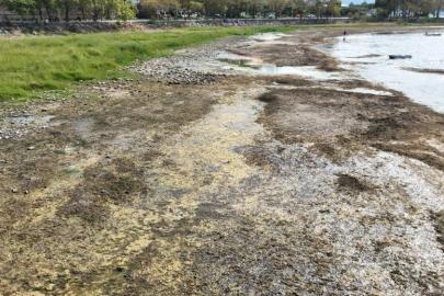 İznik Gölü kuruyor: Cargill’in yer altı sularından yılda 1 milyon metreküpten fazla su çektiği ileri sürülüyor