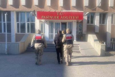 Jandarma büyükbaş hayvan hırsızlarını kısa sürede yakaladı