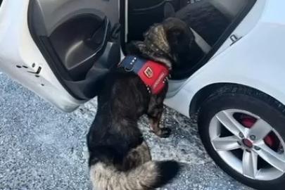 Jandarma tarafından Muğla’da yapılan denetimde bir haftada 80 şahıs yakalandı