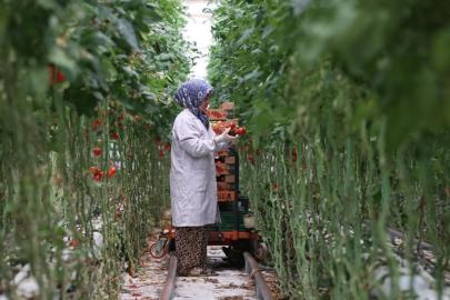 Jeotermal, 2025’te yatırım uykusundan uyandı