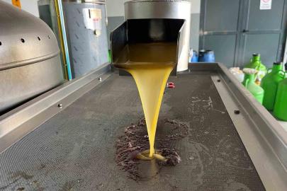 Kara meyve altın sıvıya dönüşüyor