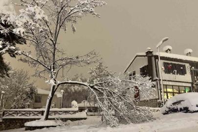 Karabük’te kar ağırlığına dayanamayan çok sayıda ağacın dalların kırıldı