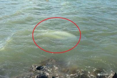 Karadeniz’de fırtına: Samsun’da 3 tekne battı