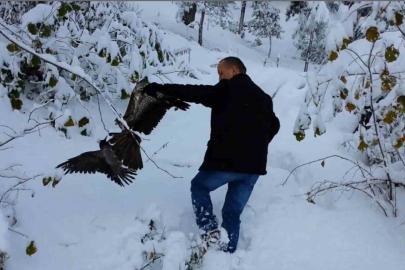 Kargayı atmacanın pençelerinden yoldan geçen vatandaşlar kurtardı