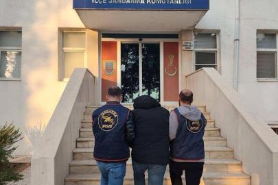 Kargo kutusundan muz çıktı: 127 yıl hapis cezası bulunan dolandırıcı yakalandı