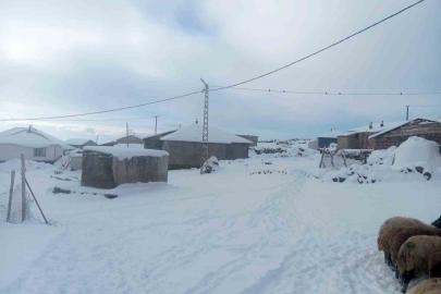 Karla birlikte Türkiye’nin en yüksek köyü Kışkılı’da besiciler zor durumda kaldı