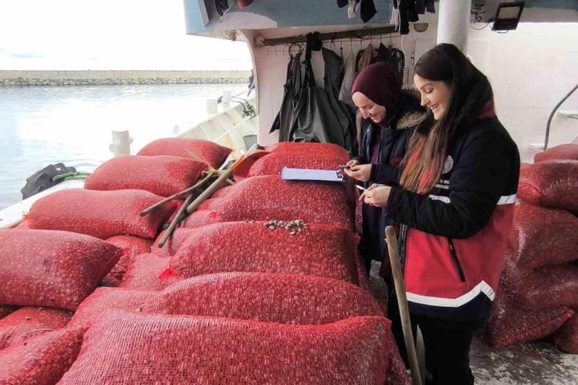 Kastamonu’da beyaz kum midyesi denetimi