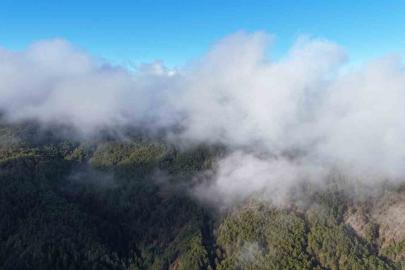 Kastamonu’da sis bulutları ve ormanların buluşması mest etti