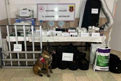 Kastamonu’da uyuşturucu operasyonu:  6 gözaltı