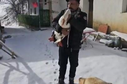 Kazından helallik istedi