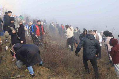 KBÜ’lü öğrenciler 500 çam fıstığı fidanını toprakla buluşturdu