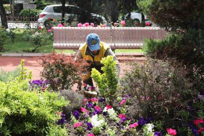 Keçiören’de seradan parklara uzanan yeşil yolculuk