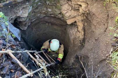 Kırkağaç’ta kuyuya düşen köpek itfaiye ekiplerince kurtarıldı