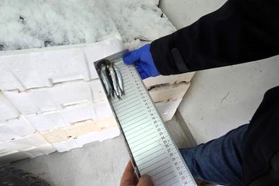 Kırklareli’nde su ürünleri denetimi