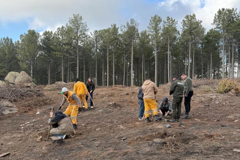 Kırşehir’den gelen üniversite öğrencileri Çine’de fidan dikti