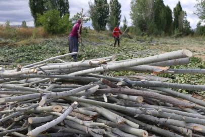 Kömür pahalı, odun umut: Erzincan kırsalında kış mesaisi