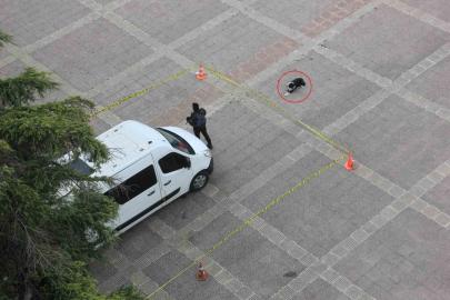 Köpekten örnek davranış: Polis şeridini ihlal etmedi