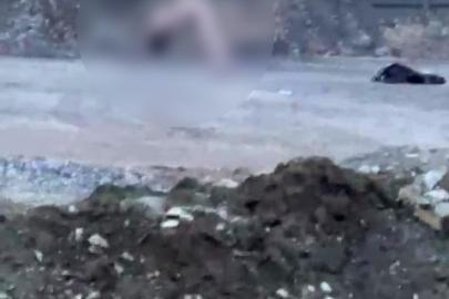 Köprü altında akıllara durgunluk veren görüntüler