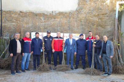 Köşklü üreticilere kestane fidanı dağıtıldı