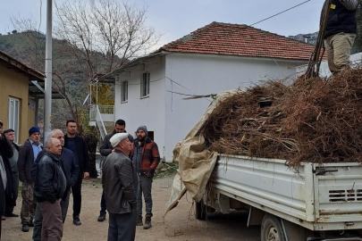 Köşk’te köklü kestane fidanları üreticilere dağıtıldı
