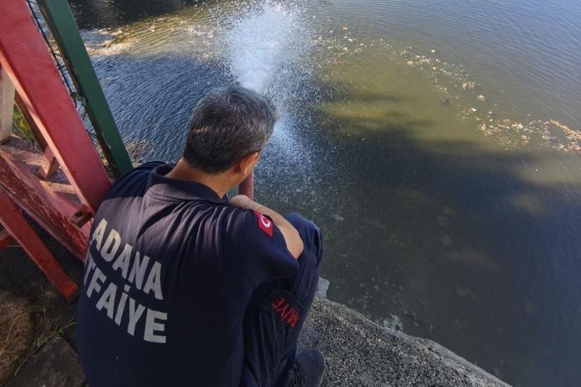 Kuraklık balıkları vurdu