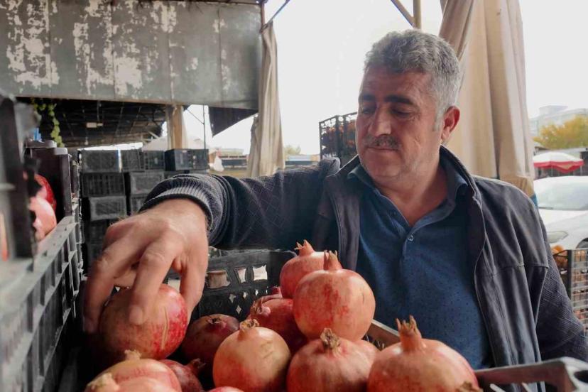 Kuraklık Zivzik narında verimi yarı yarıya düşürdü
