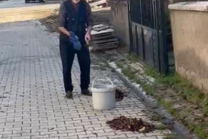 Kütahya’da yaşlı adamdan çevreye örnek temizlik dersi