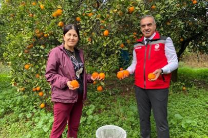 Kuyucak’ta portakal hasadı yapıldı, üreticilere belgeleri teslim edildi