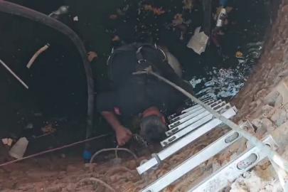 Kuyuya düşen keçiyi itfaiye kurtardı