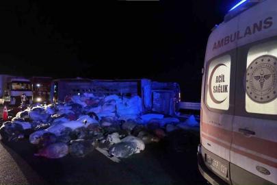 Kuzey Marmara Otoyolu’nda  kamyonet devrildi: 2 yaralı