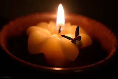 Leyla İpekçi Yazdı: Geceleyin Mum Alevinde Yan ve An!