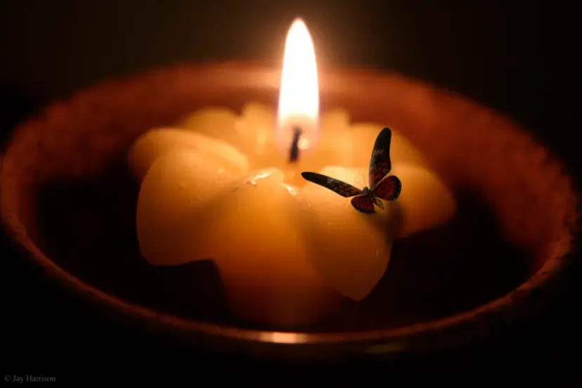 Leyla İpekçi Yazdı: Geceleyin Mum Alevinde Yan ve An!