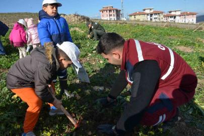 Manisa’da yanan alanlara 100 bininci fidan dikildi