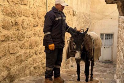 Mardin’de ’kadrolu’ eşekleri emekli edecek proje hayata geçiyor