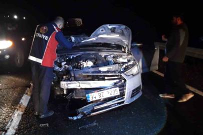 Mardin’de otomobilin çarptığı at telef oldu