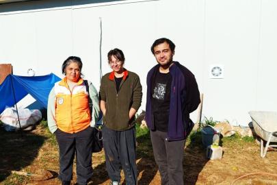 Menteşe’de zeytin üreticilerine yönelik kapsamlı bilgilendirme ve kontrol çalışmaları sürüyor