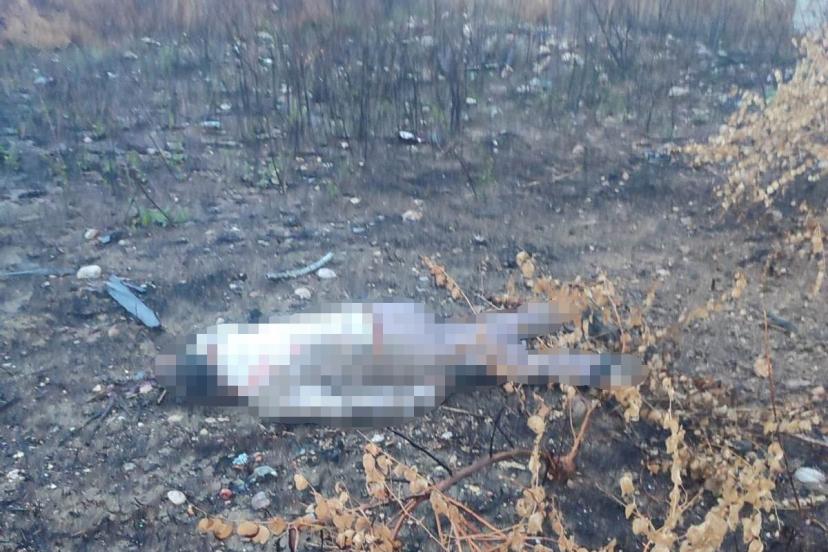 Mersin’de kaza yapan araç otoyolda, sürücüsü 30 metrelik köprünün altında ölü bulundu