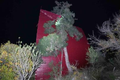 Mersin’de şiddetli rüzgar çatıyı uçurdu, asırlık meşeyi devirdi