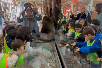 Minikler mumya balıkları büyük bir ilgiyle inceledi